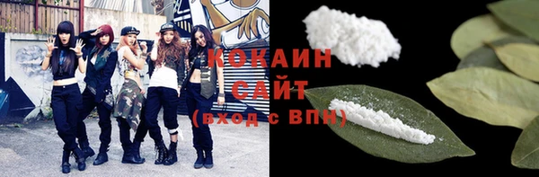 индика Белокуриха