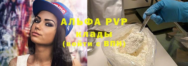 индика Белокуриха