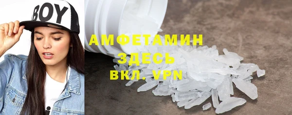 индика Белокуриха