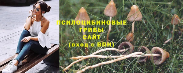 молекула духа Корсаков