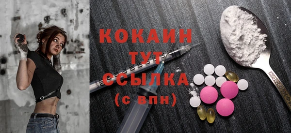 индика Белокуриха
