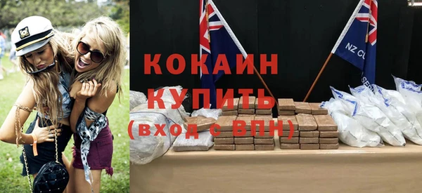 индика Белокуриха