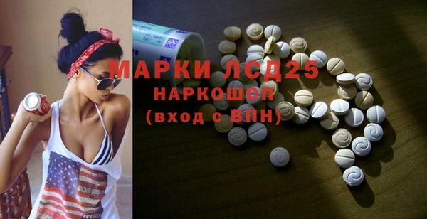 индика Белокуриха