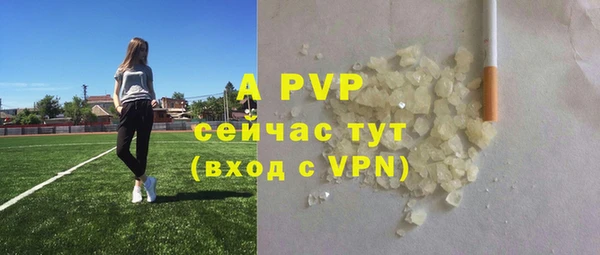 индика Белокуриха